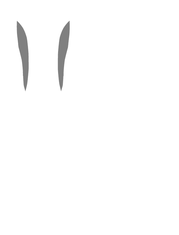 Main Suit