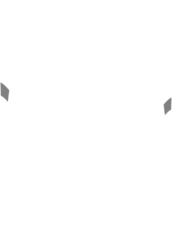 Main Suit